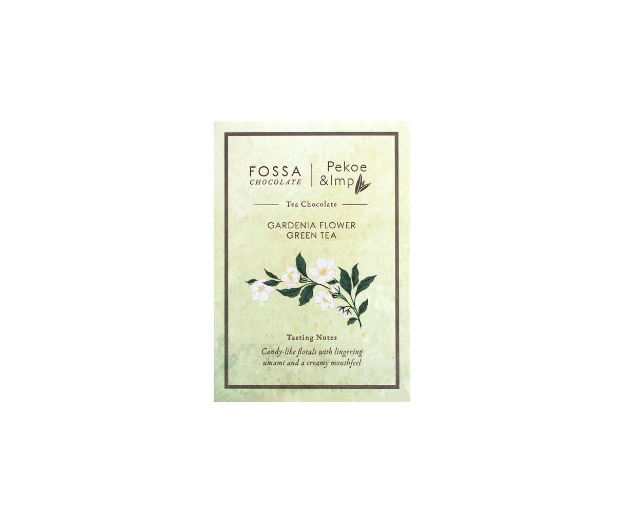 Fossa Chocolate - Gardenia Flower Green Tea