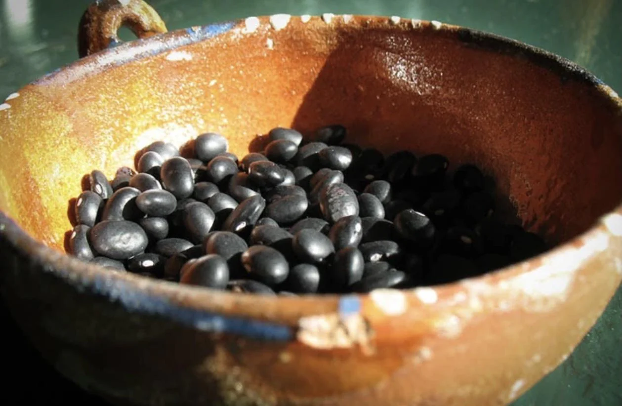 Rancho Gordo - Midnight Black Bean